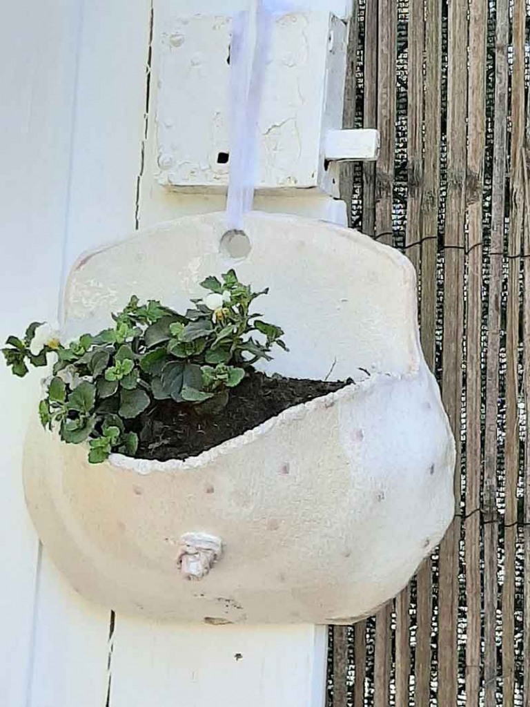 20200422_132413_resized