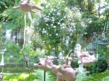 Schweinebande